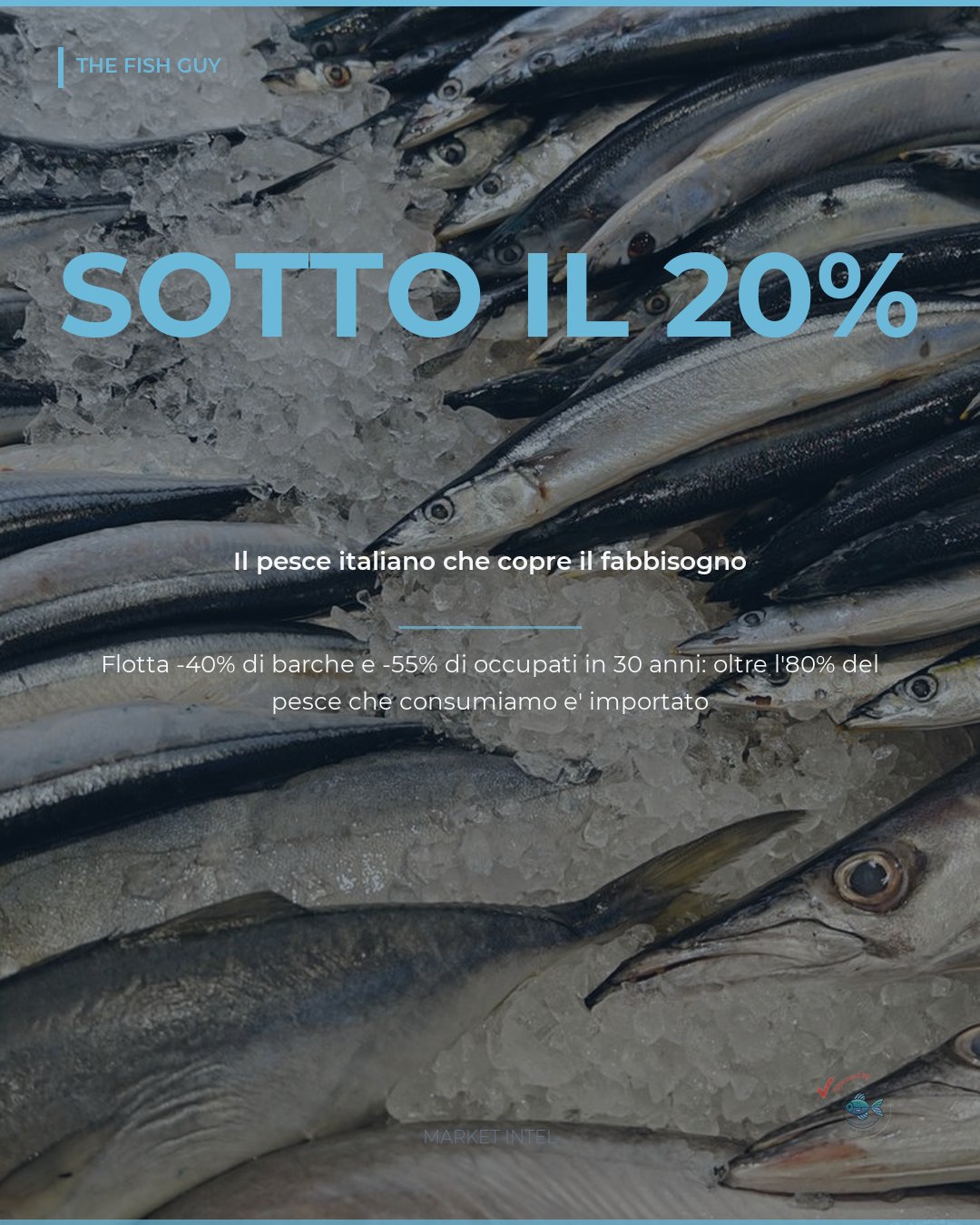 Italia, la flotta copre meno del 20% del pesce che consumiamo