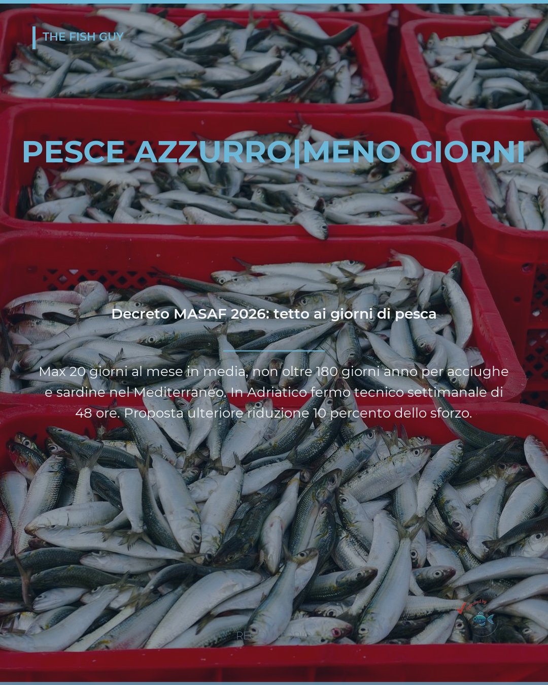 Acciughe e sardine: nel 2026 meno giorni di pesca per il pesce azzurro