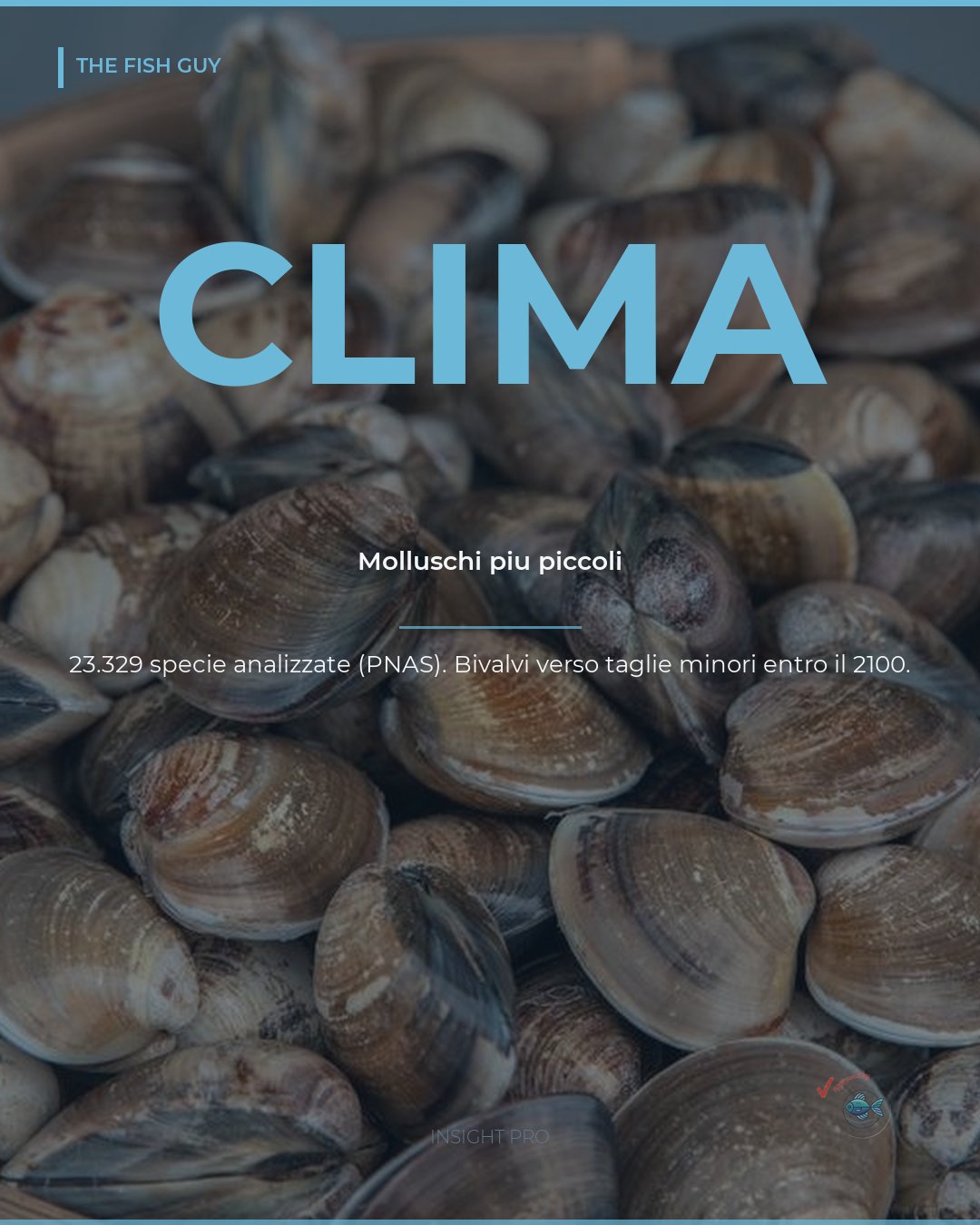 Clima e molluschi: col caldo le conchiglie si rimpiccioliscono