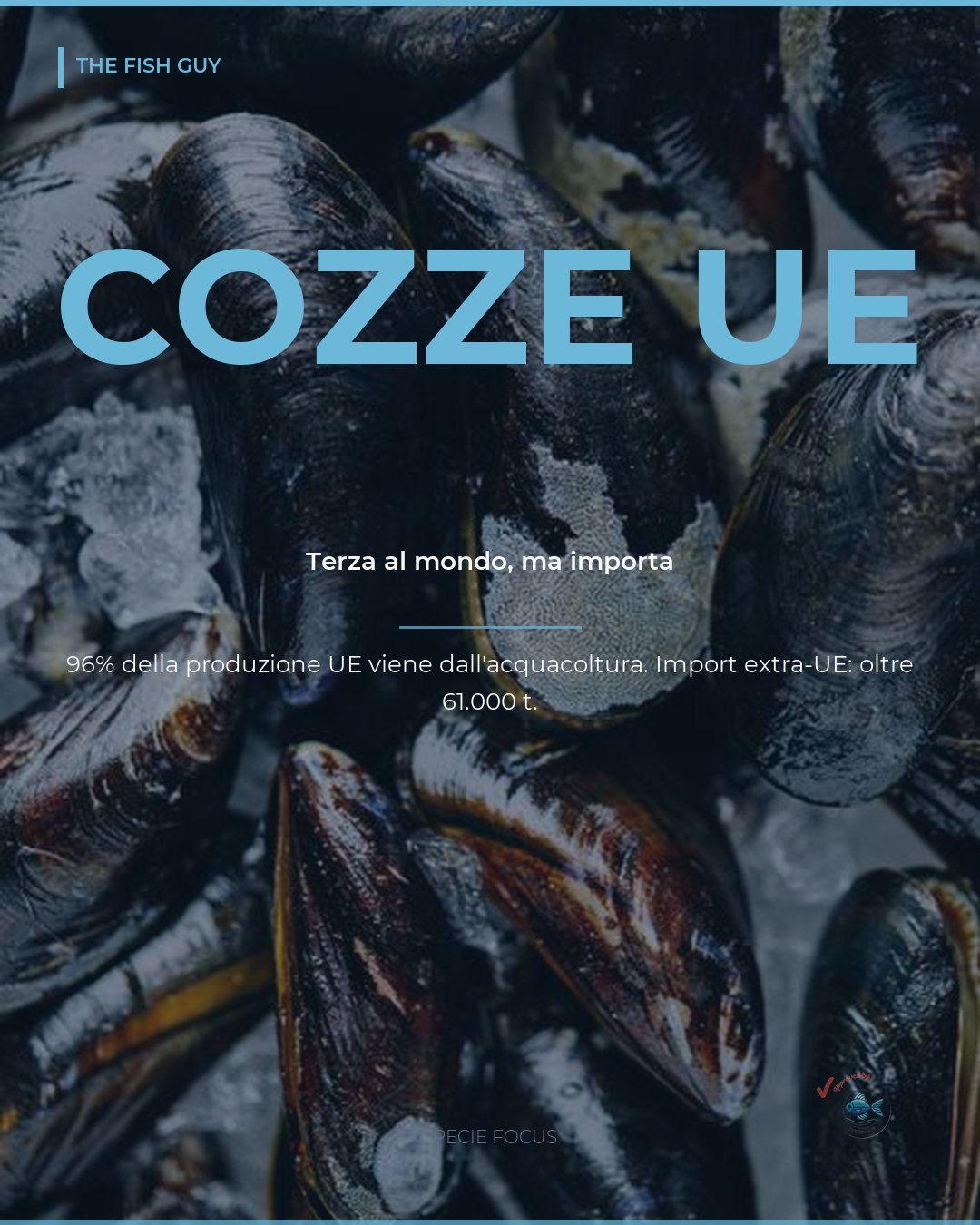 Cozze UE: terzo produttore, import oltre 61.000 t