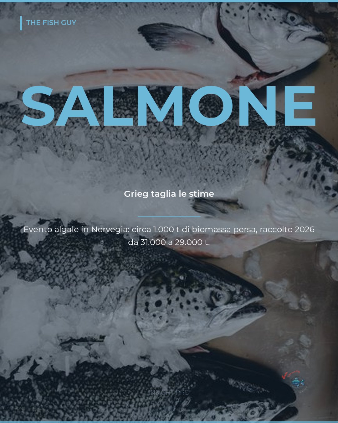 Alga nociva in Norvegia: Grieg taglia le stime 2026 sul salmone