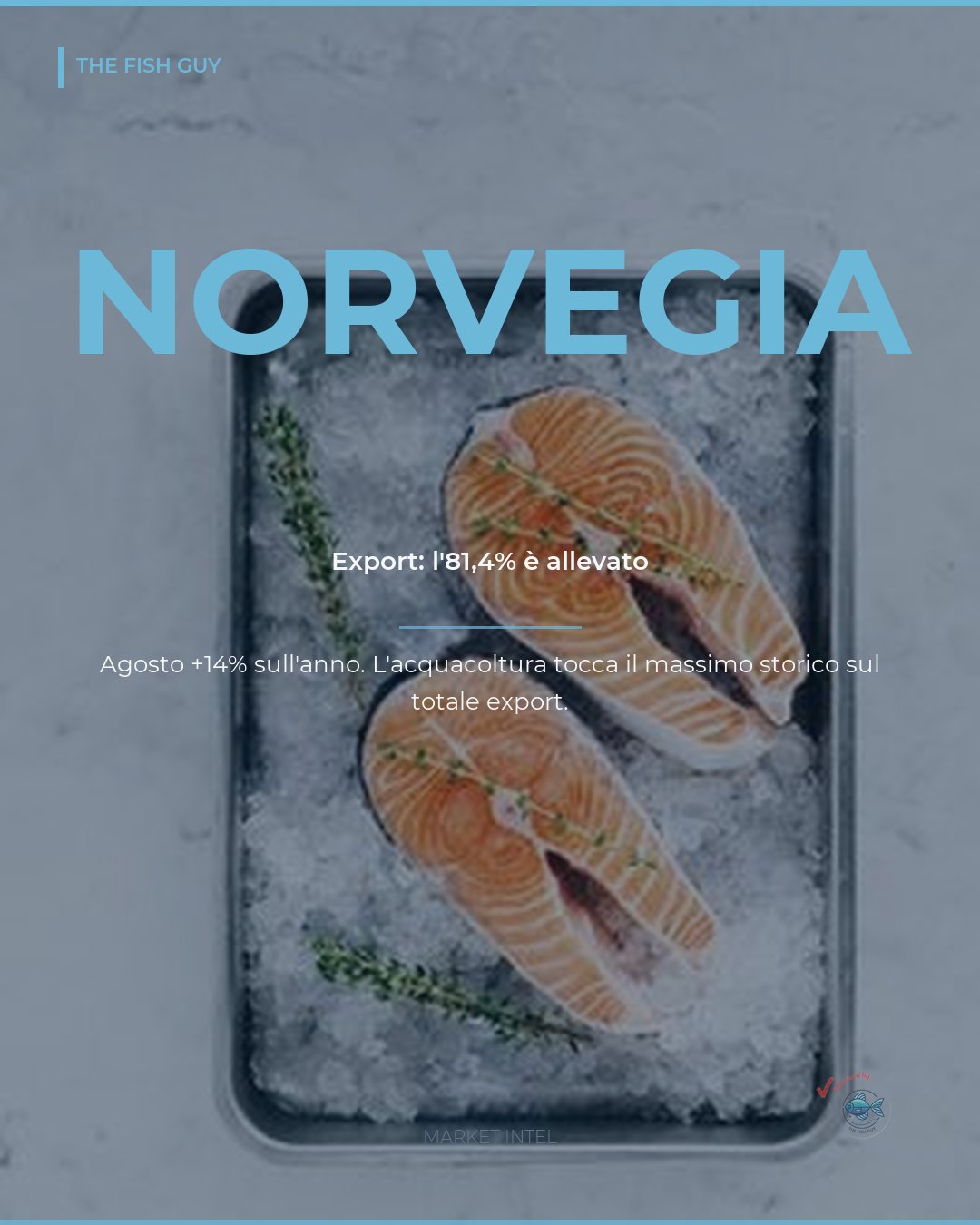 Norvegia: l'81,4% dell'export ittico è allevato
