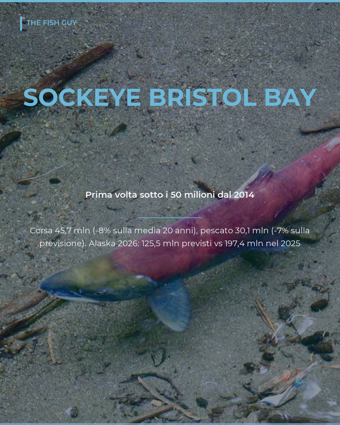 Sockeye Bristol Bay 2026: corsa sotto i 50 milioni dal 2014