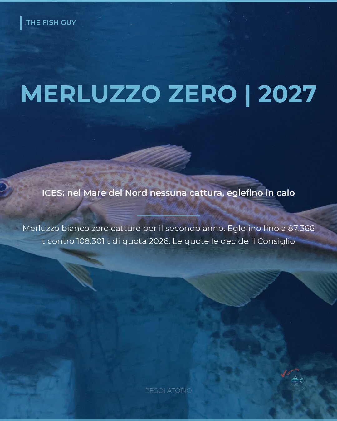 Merluzzo del Mare del Nord: l'ICES consiglia zero catture nel 2027