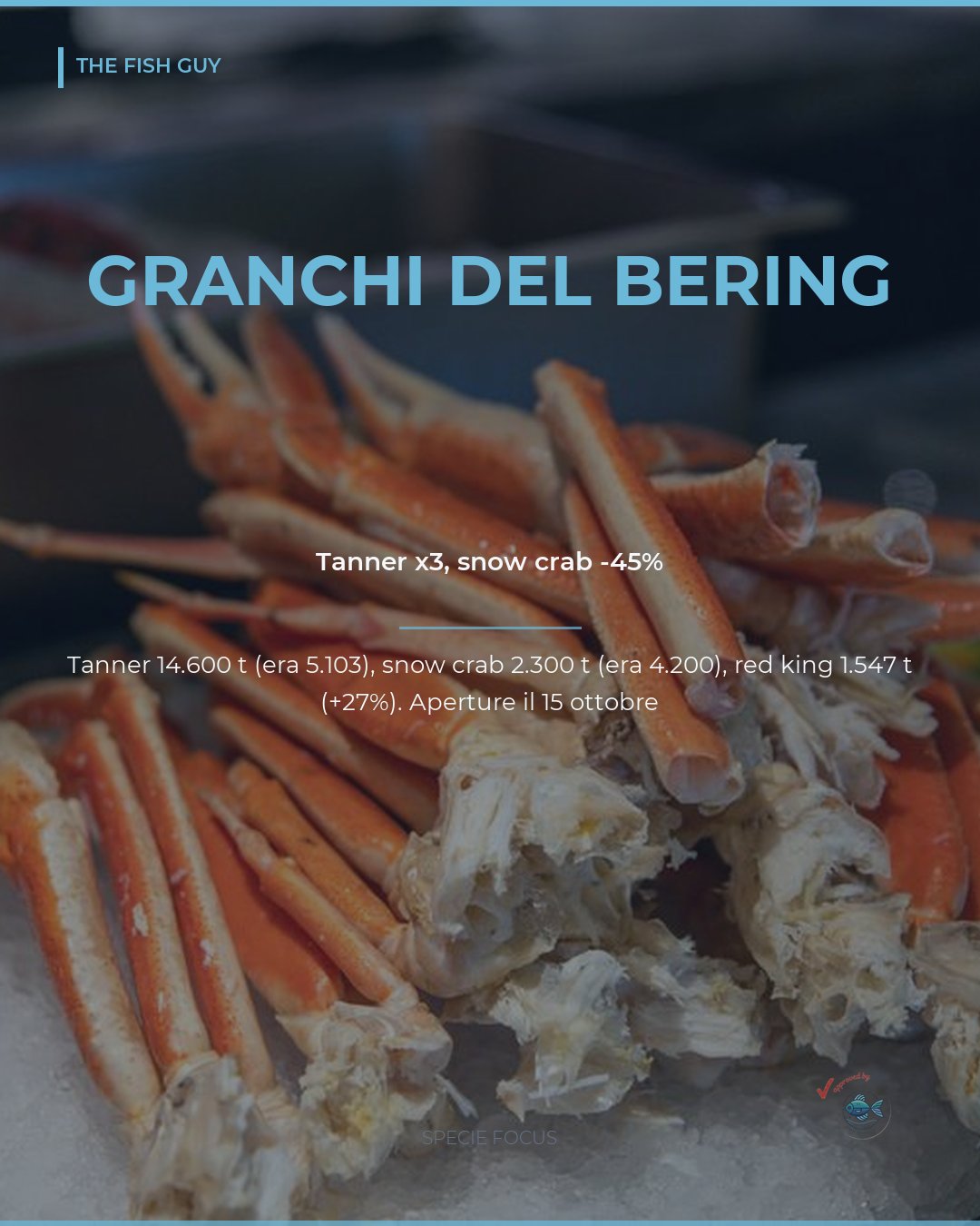 Granchi del Bering 2026-27: Tanner x3, snow crab -45%