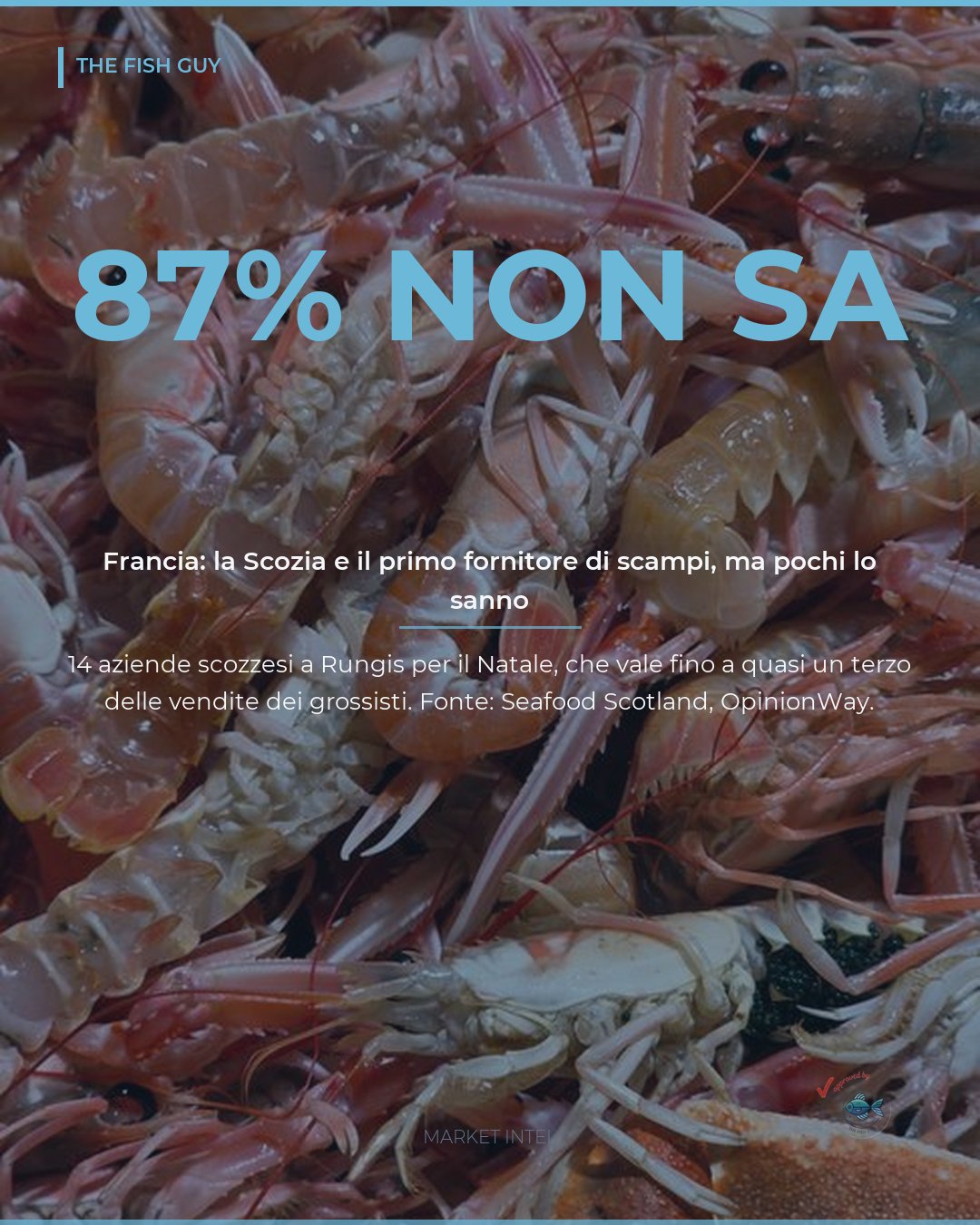 Francia: la Scozia porta scampi e salmone a Rungis per Natale