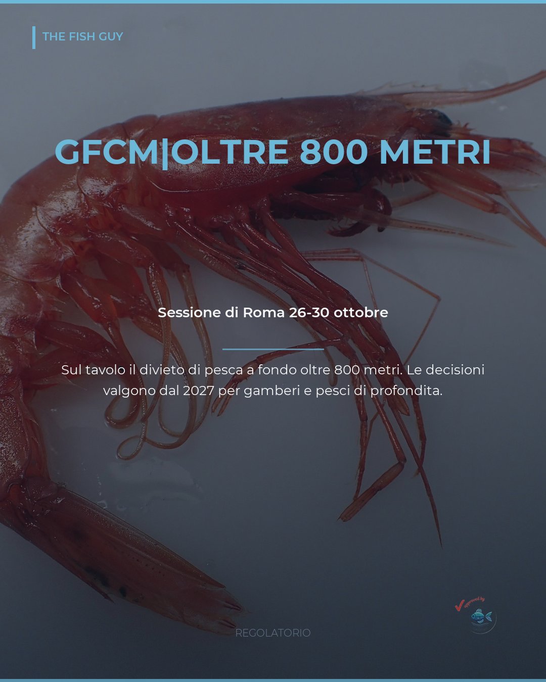 GFCM a Roma: divieto di pesca a fondo oltre 800 metri?