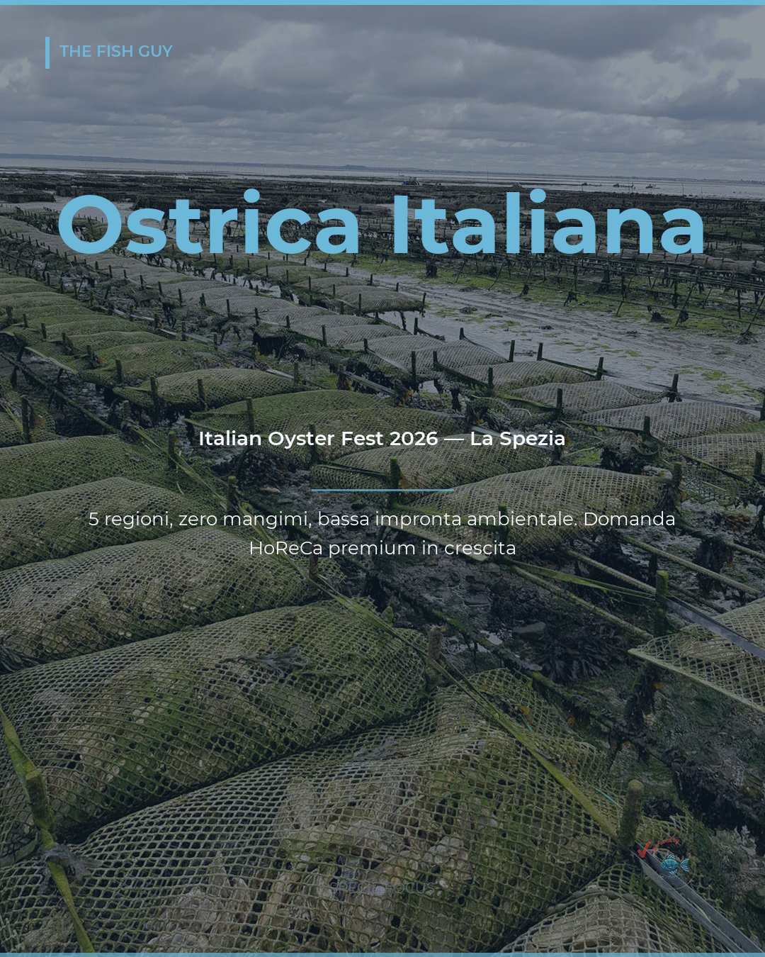 Ostricoltura Italiana: 5 Regioni all'Italian Oyster Fest 2026